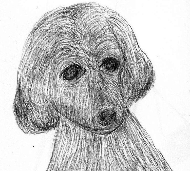 DOGGIE PENCIL