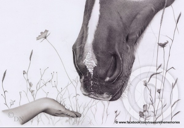 Horse and hand