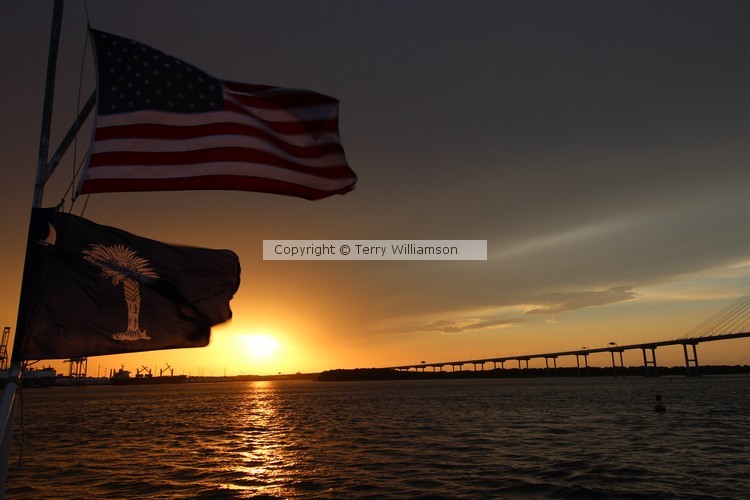 Three symbols of Charleston