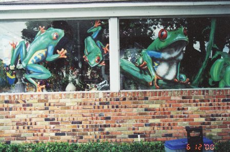 frogs