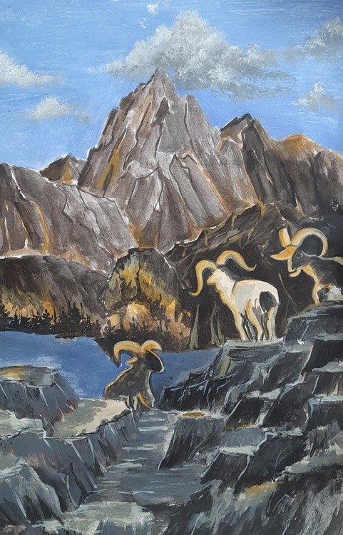 KingsCanyonUS