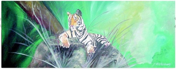 Tiger collection 2