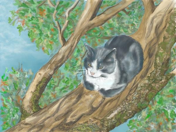 Sully in Tree