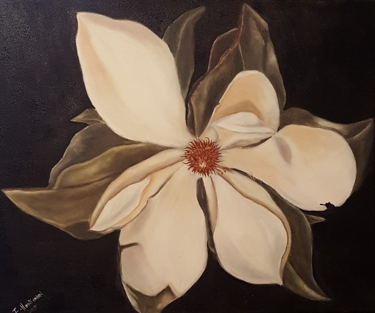 Magnolia