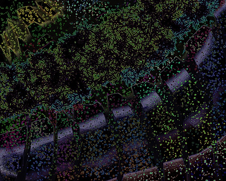 Trees alley fantasy