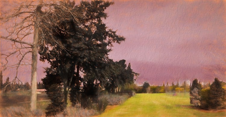 Sharon Park 1
