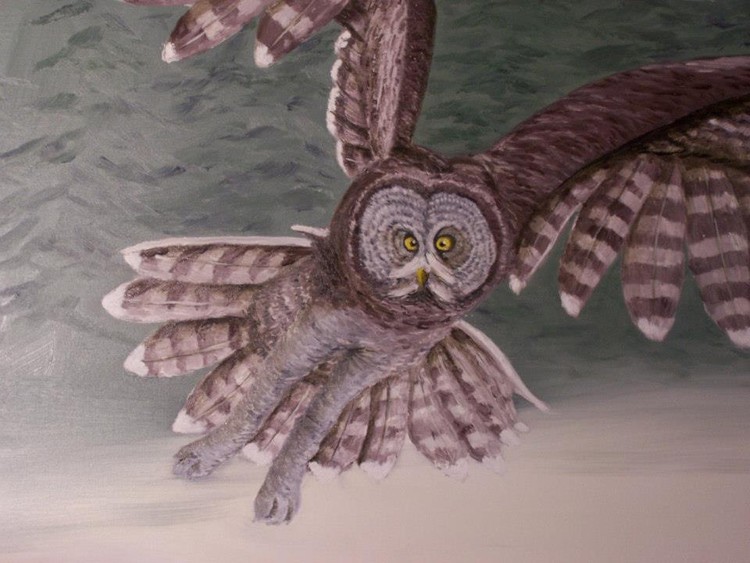 owl 1