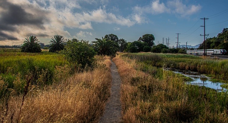Switchyard Trail - July 1  2025
