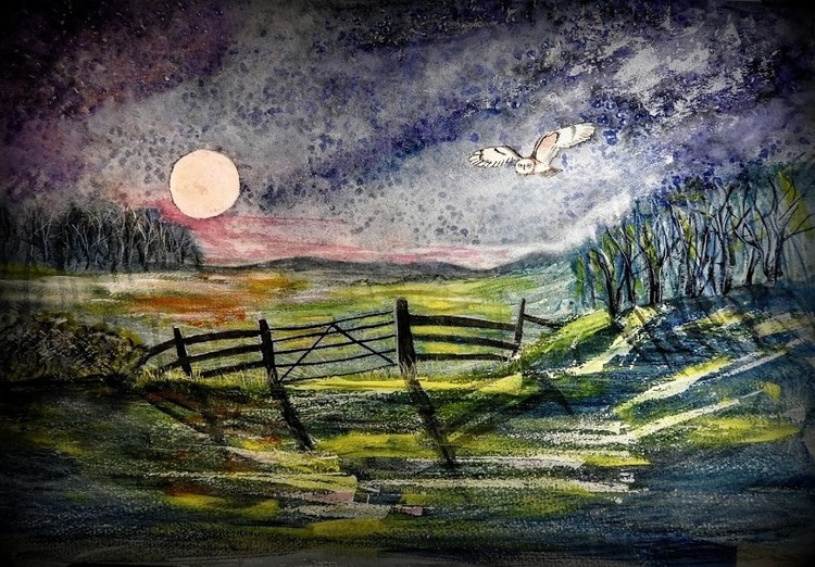 Barn Owl