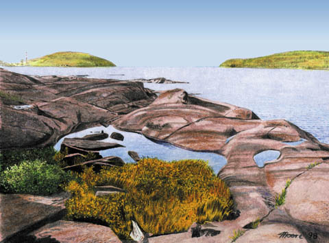 Peninsula Harbour