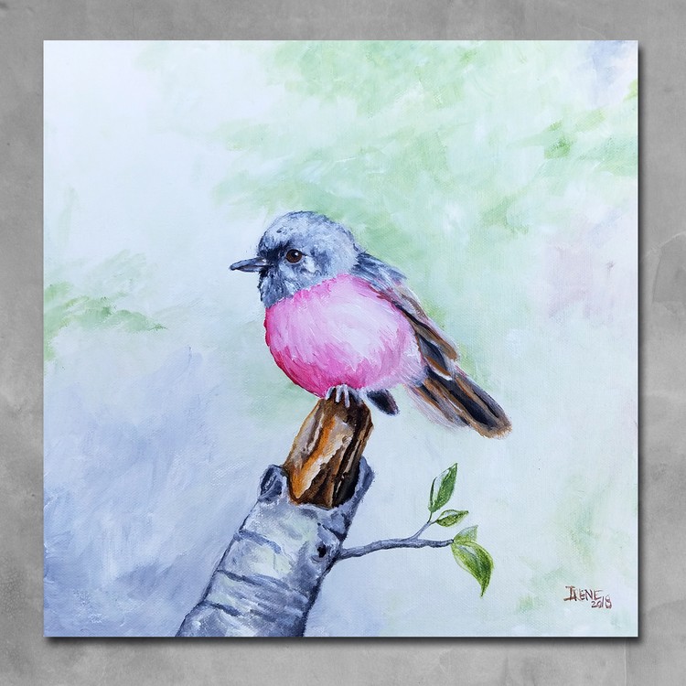 Pink-Robin