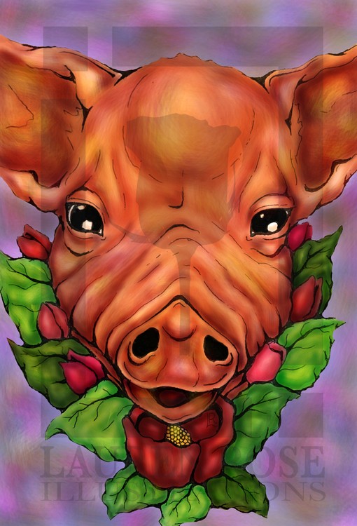 Pig Portrait 