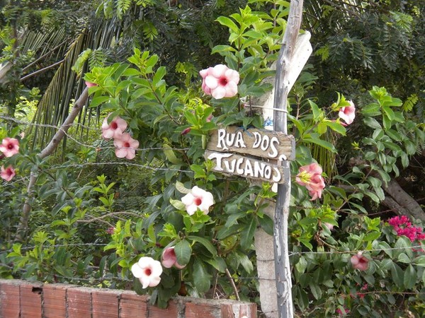 Toucan street