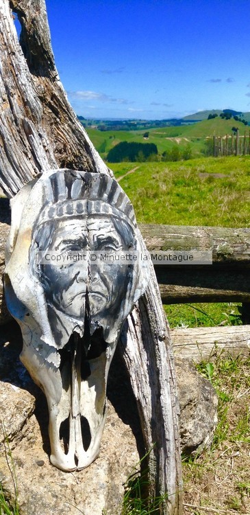 Geronimo