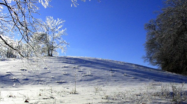 Blue Sky