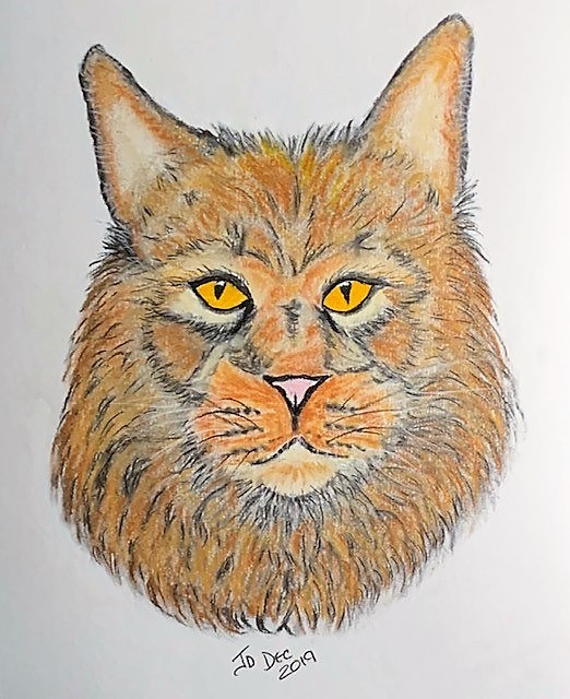 Mama's Cat