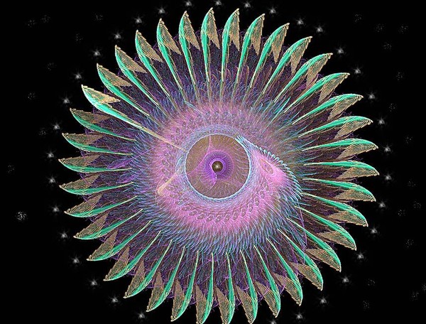 Indian Feathers....