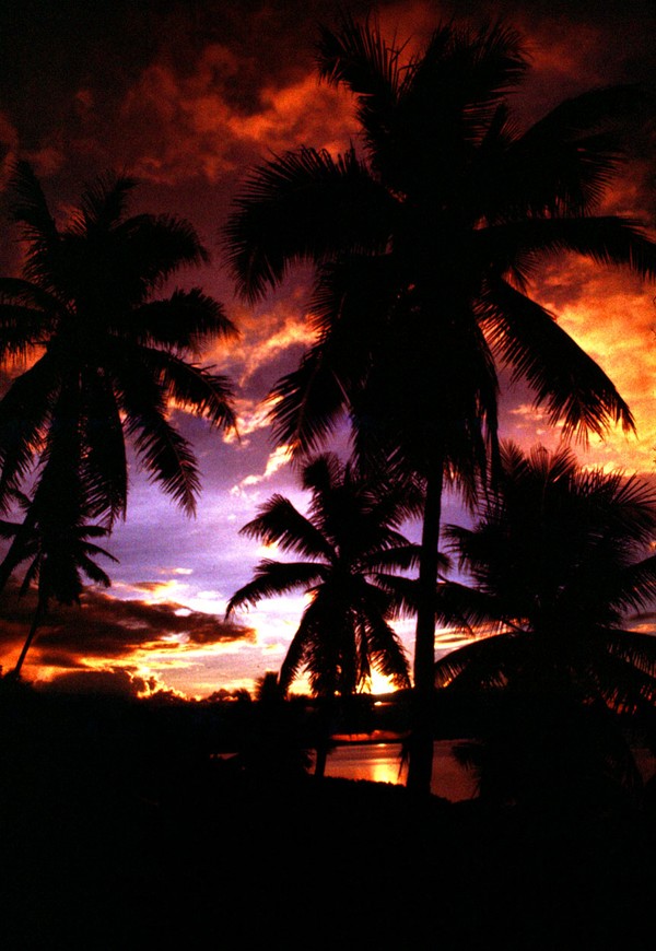 Sunset in Paradise