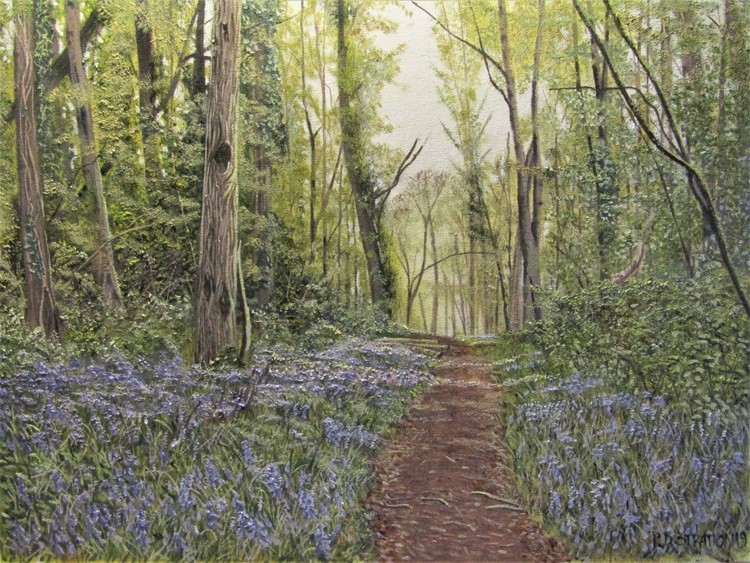 Bluebells in Bishopstoke Woods