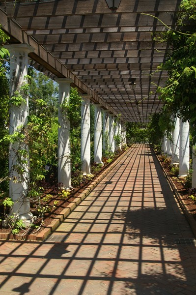 Heavens Arbor