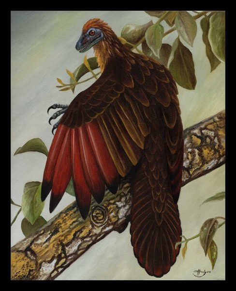 Archaeopteryx