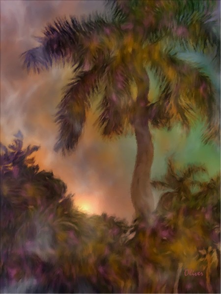 Puesta Del Sol Tropical