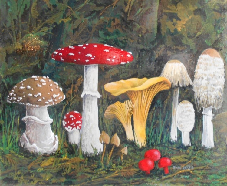 Forest mushrooms