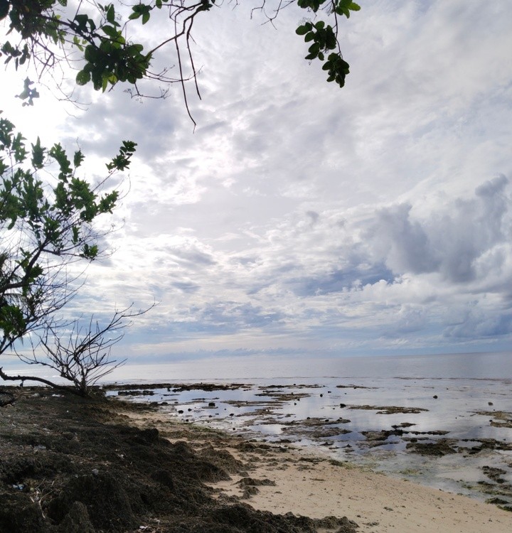 Vitamin Sea