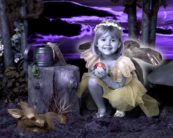 Fairy