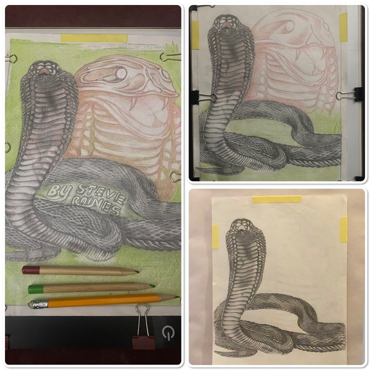 Cobra snake