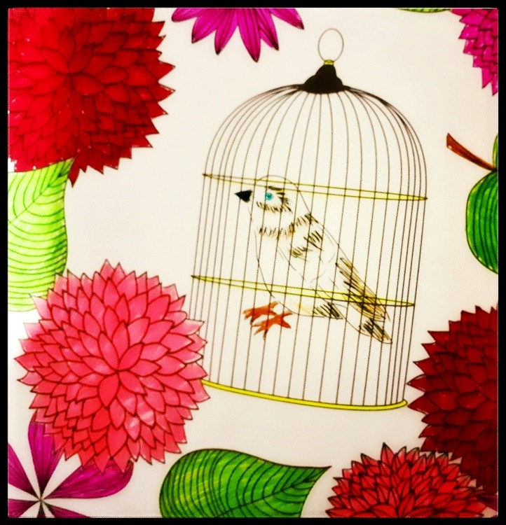 Flower cage bird mandala painting around