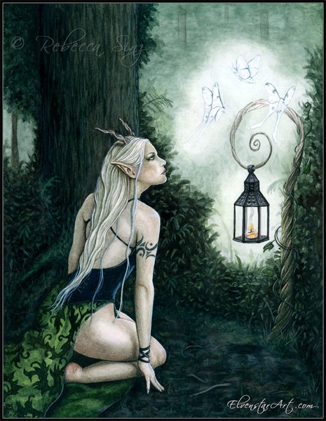 Woodland Magic