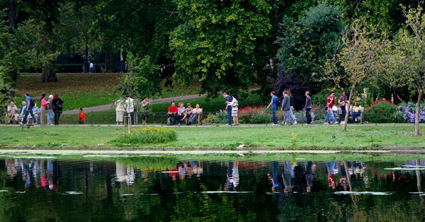 Reflections at St .James's Park