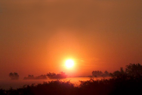 Morning Fog