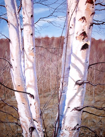 Birches