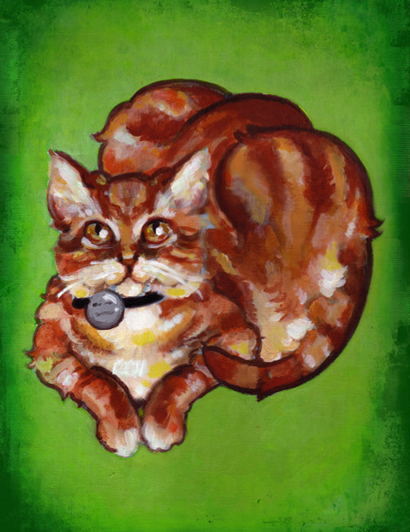 Bob the Cat