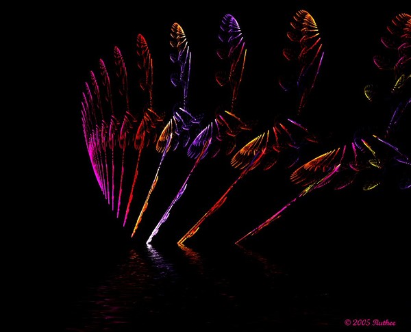 Feathers