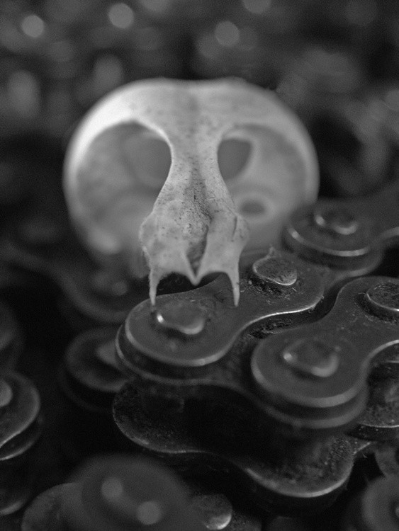 Linked