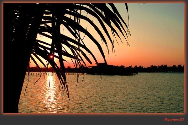 Tropical sunset