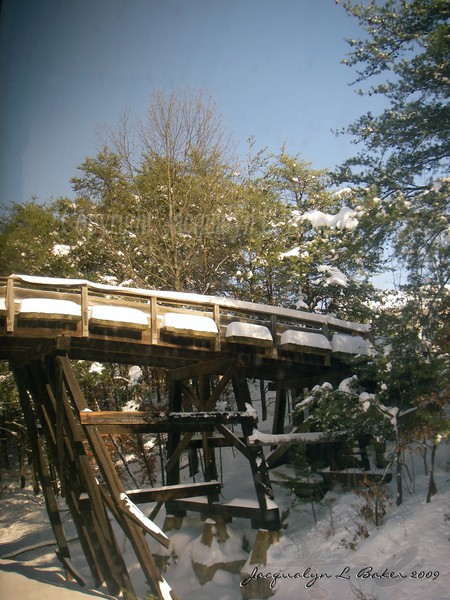 Bridge from Train