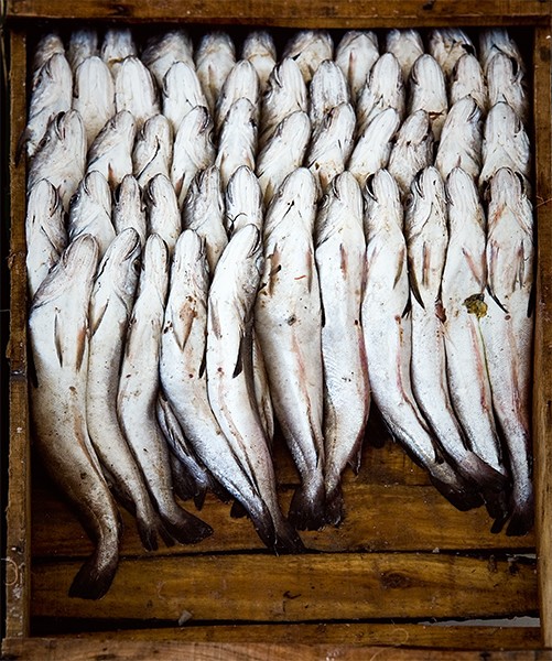 Fish Market