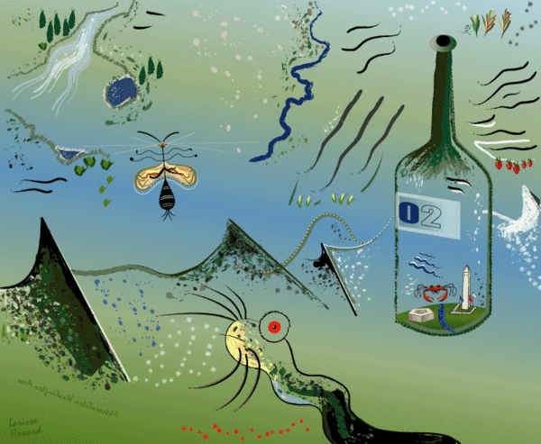 Bottle of Wine 2002