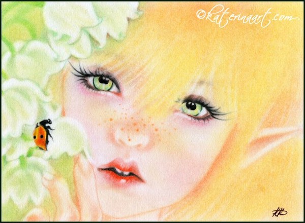 Ladybug Fairy