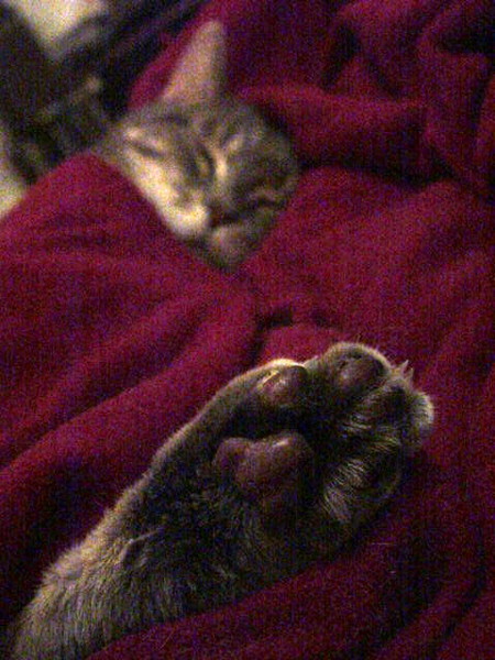 Foot Forward