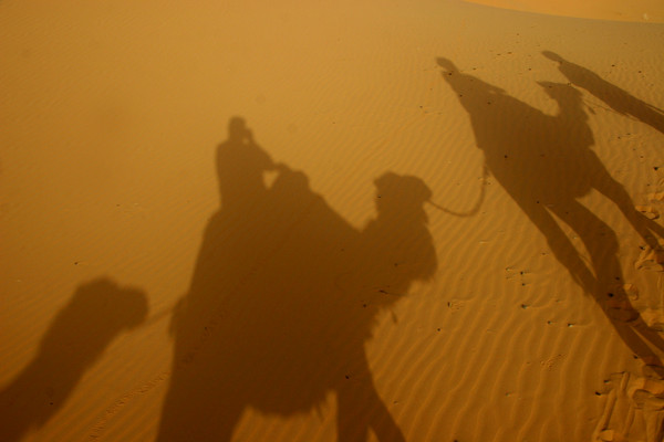 Shadows in the Desert