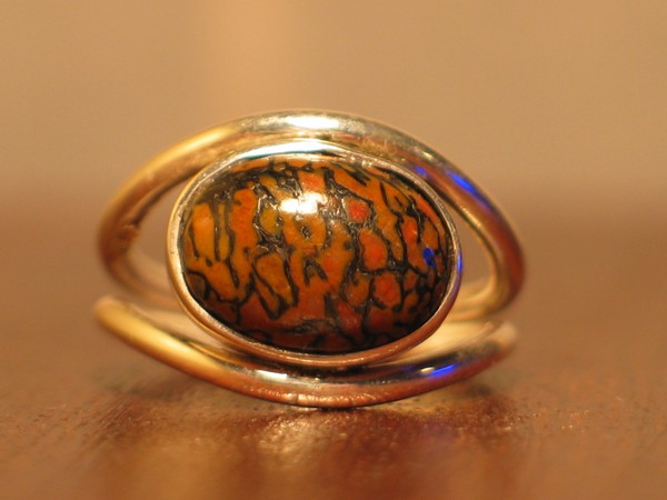 Petrified Dinosaurs Bone & Sterling Silver Ring