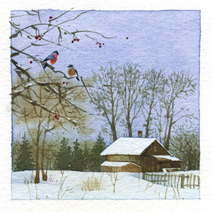 bullfinches