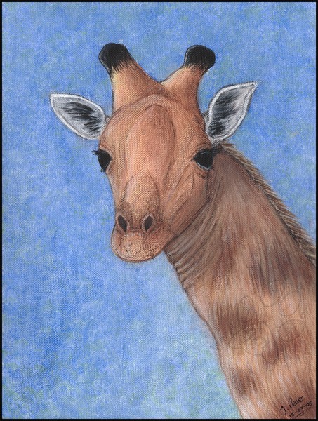 The Camelopard
