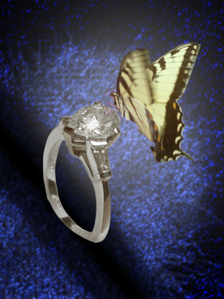The Butterfly and the Engagement Ring
