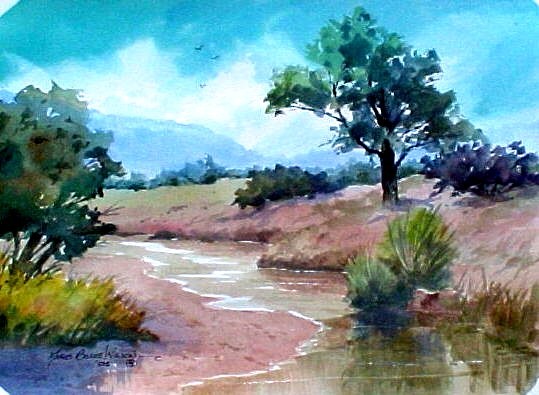 The Arroyo